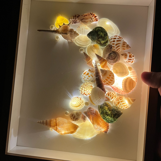 Seashell Night Light - Conch DIY Photo Frame